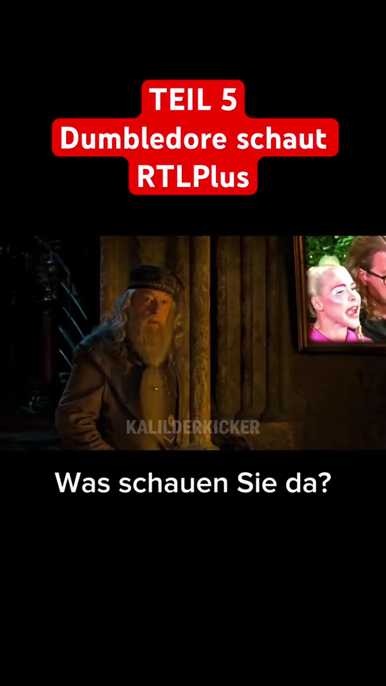 #harrypotter #harry #dumbledore #snape #sommerhausderstars #rtlplus #parodie