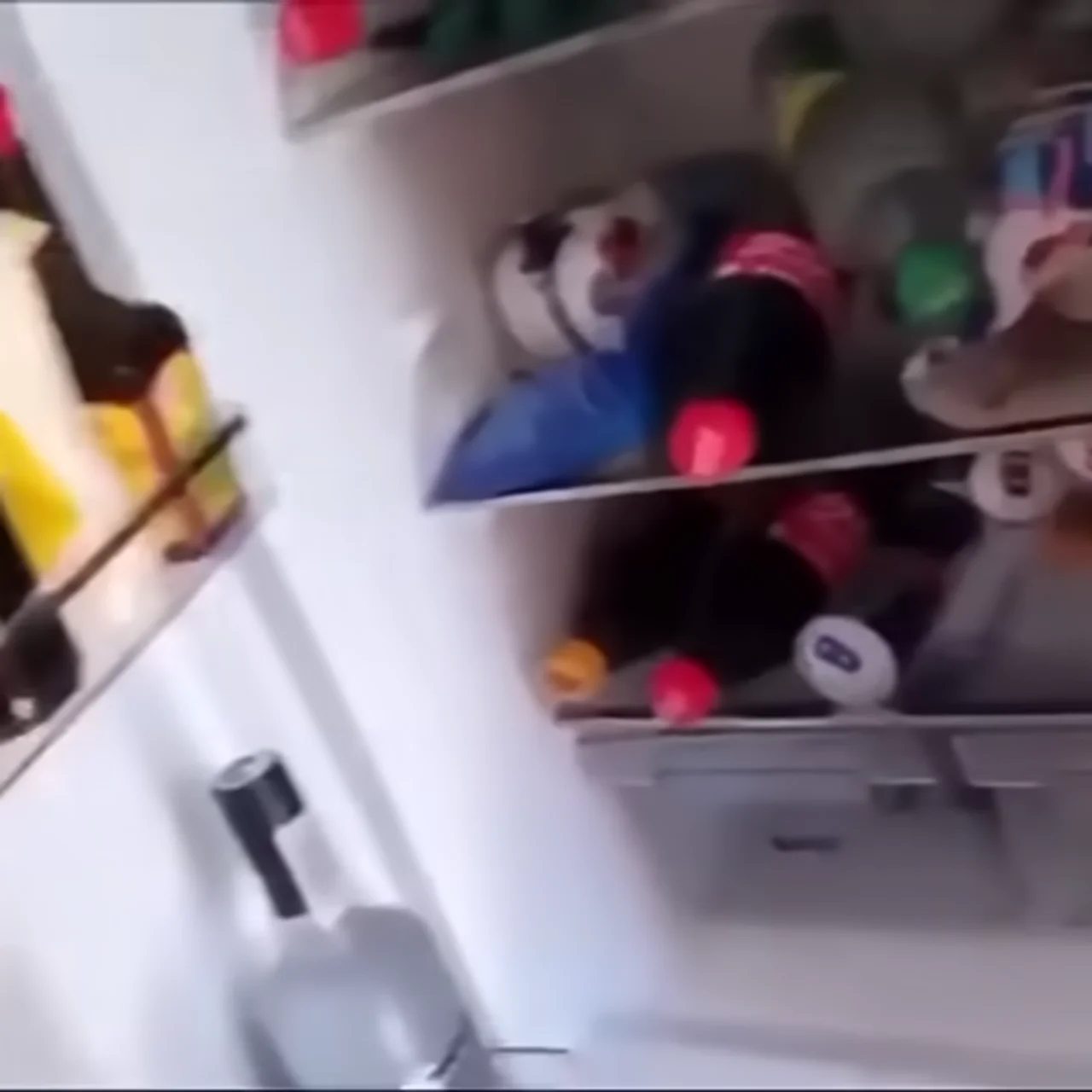 JÄGERMEISTER!!!!!!!!