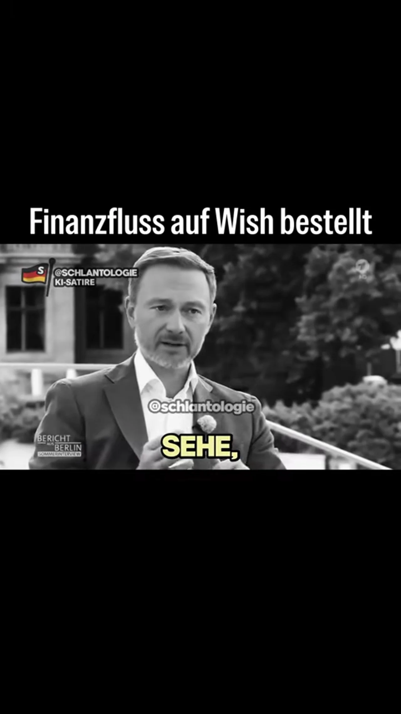 Wenn du Finanzfluss auf Wish bestellst #fake #ki #satire #lindner