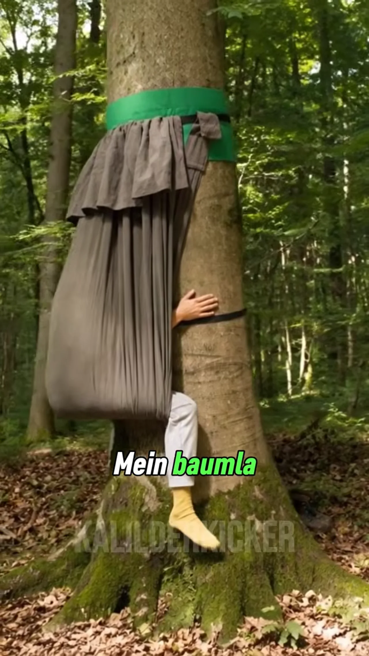 Darmentspannung mit Qui-Goon