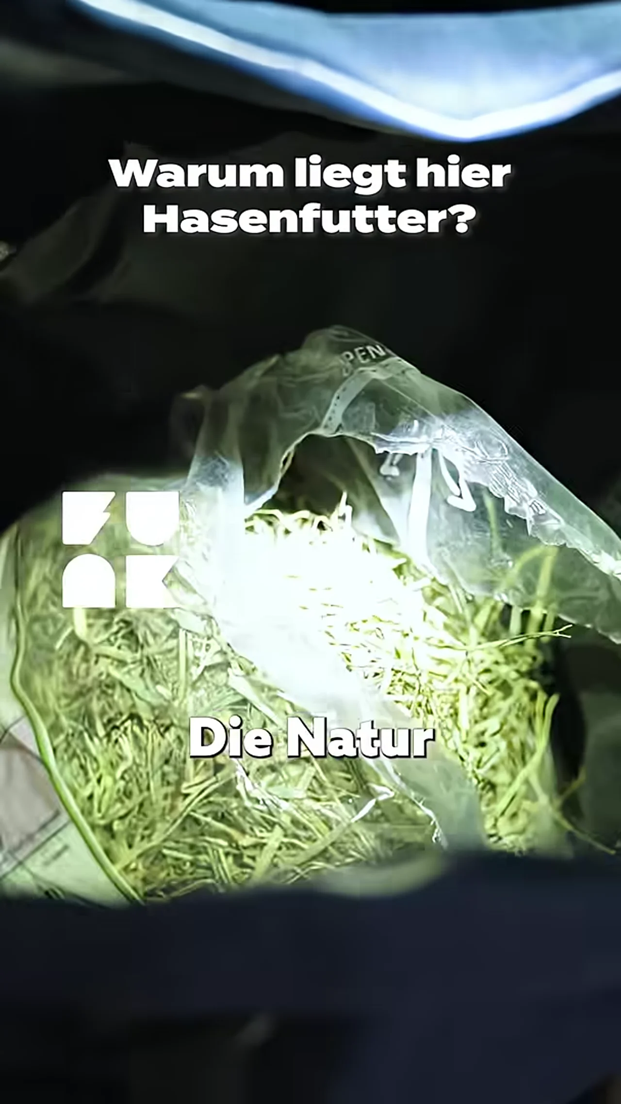 Ein Zauberstein? | HUNDERTZEHN #shorts #berlin #polizei