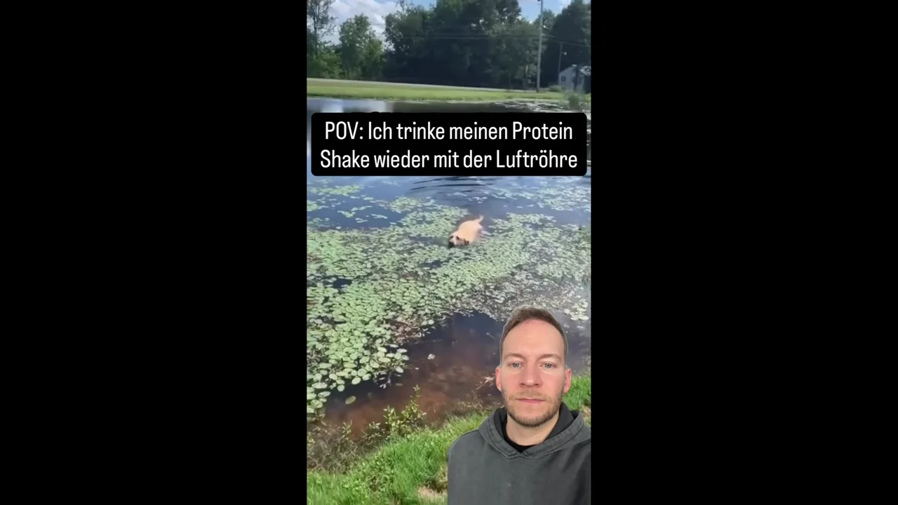 Best Of Protein Panda - Januar 2026 - Die lustigsten Clips - Fitness Comedy