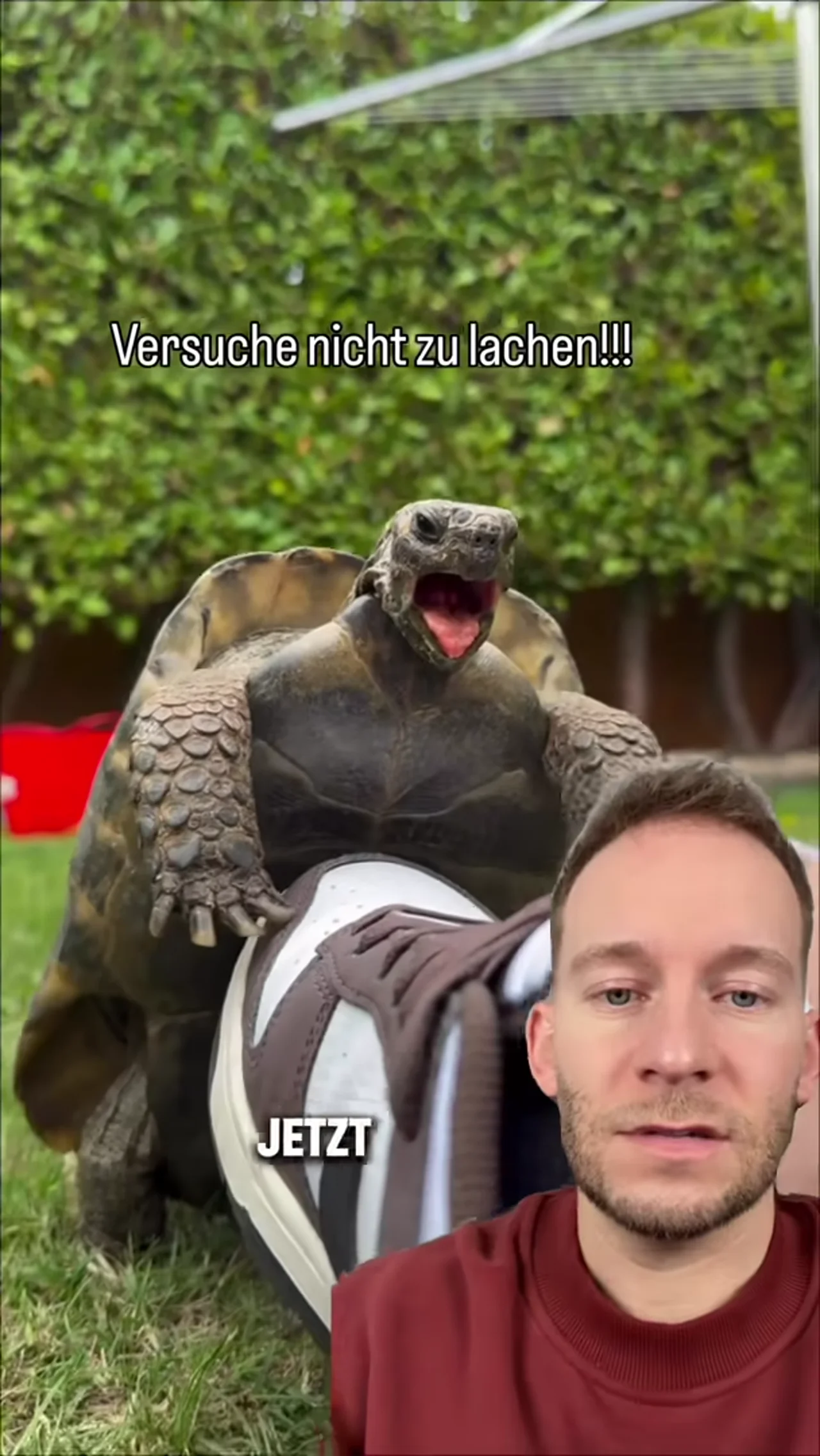 Wir versuchen nicht zu lachen