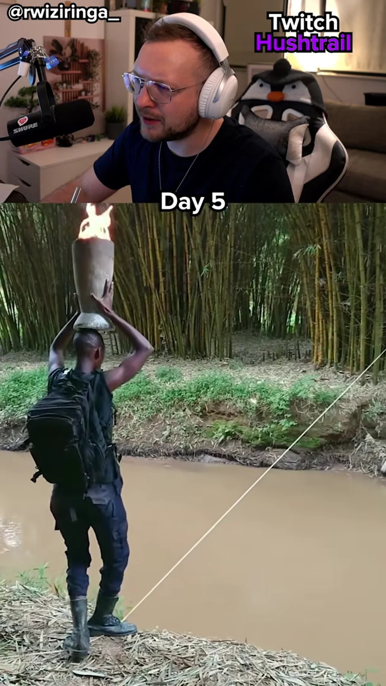 Feurige Angelegeneheit
#reaktion #jungle #meme