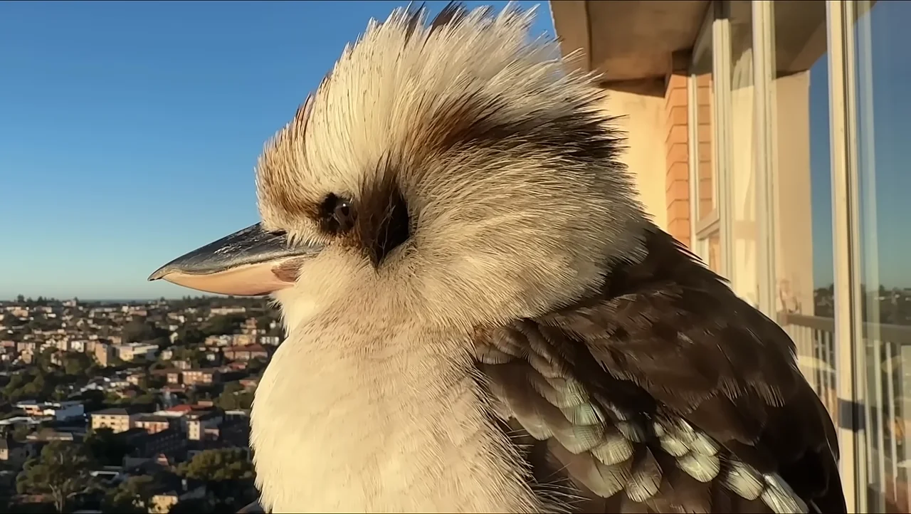 Are you filming me?