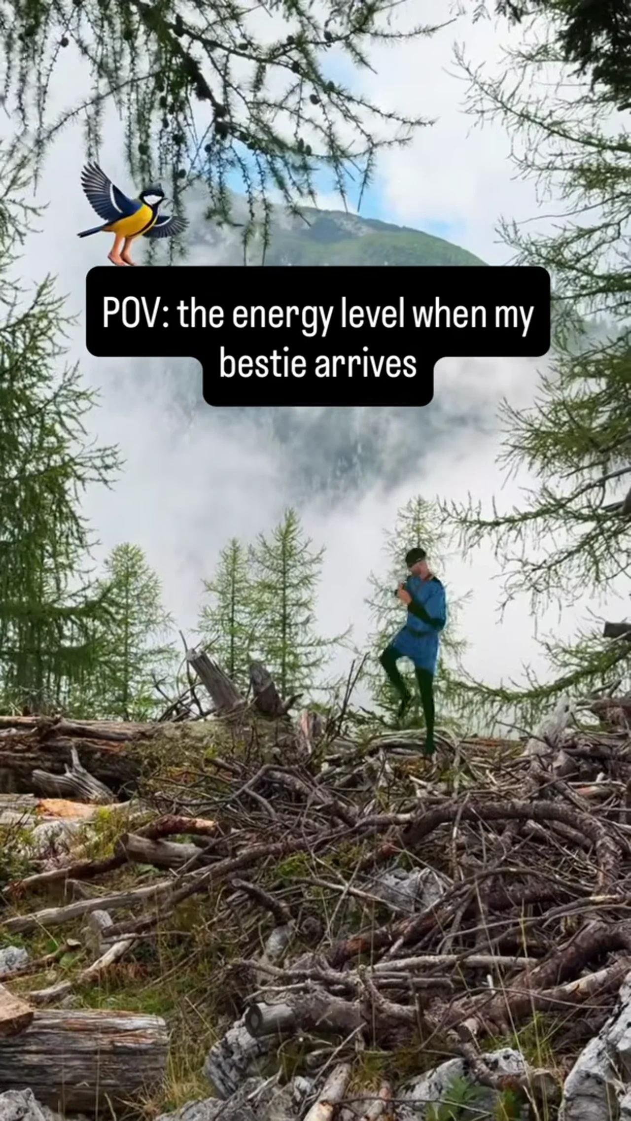 This bird is so talented #techno #relatable #memes #newmusic