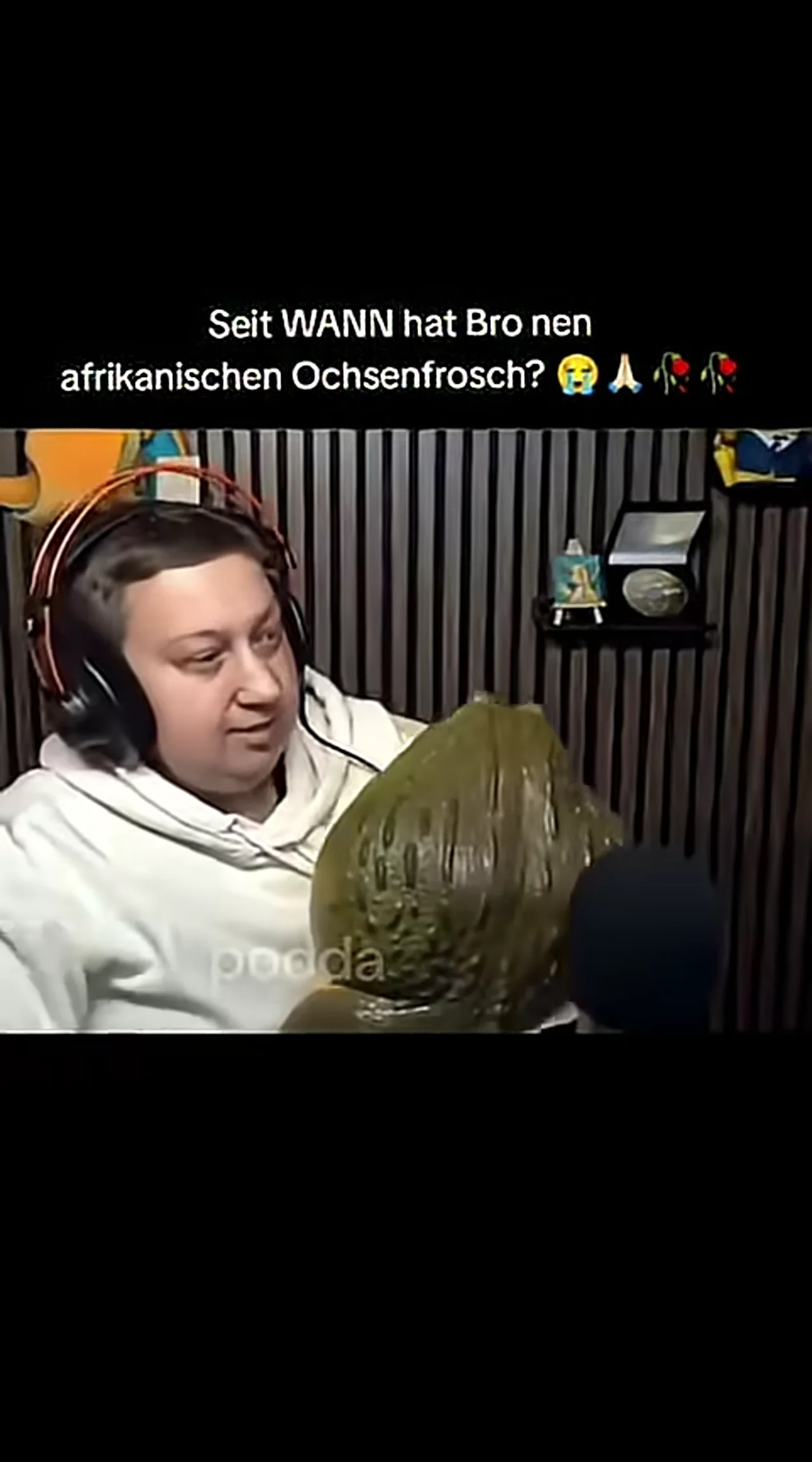 Wirklich komisch 🤔 #timgioh #viral #twitchde #grimzey24