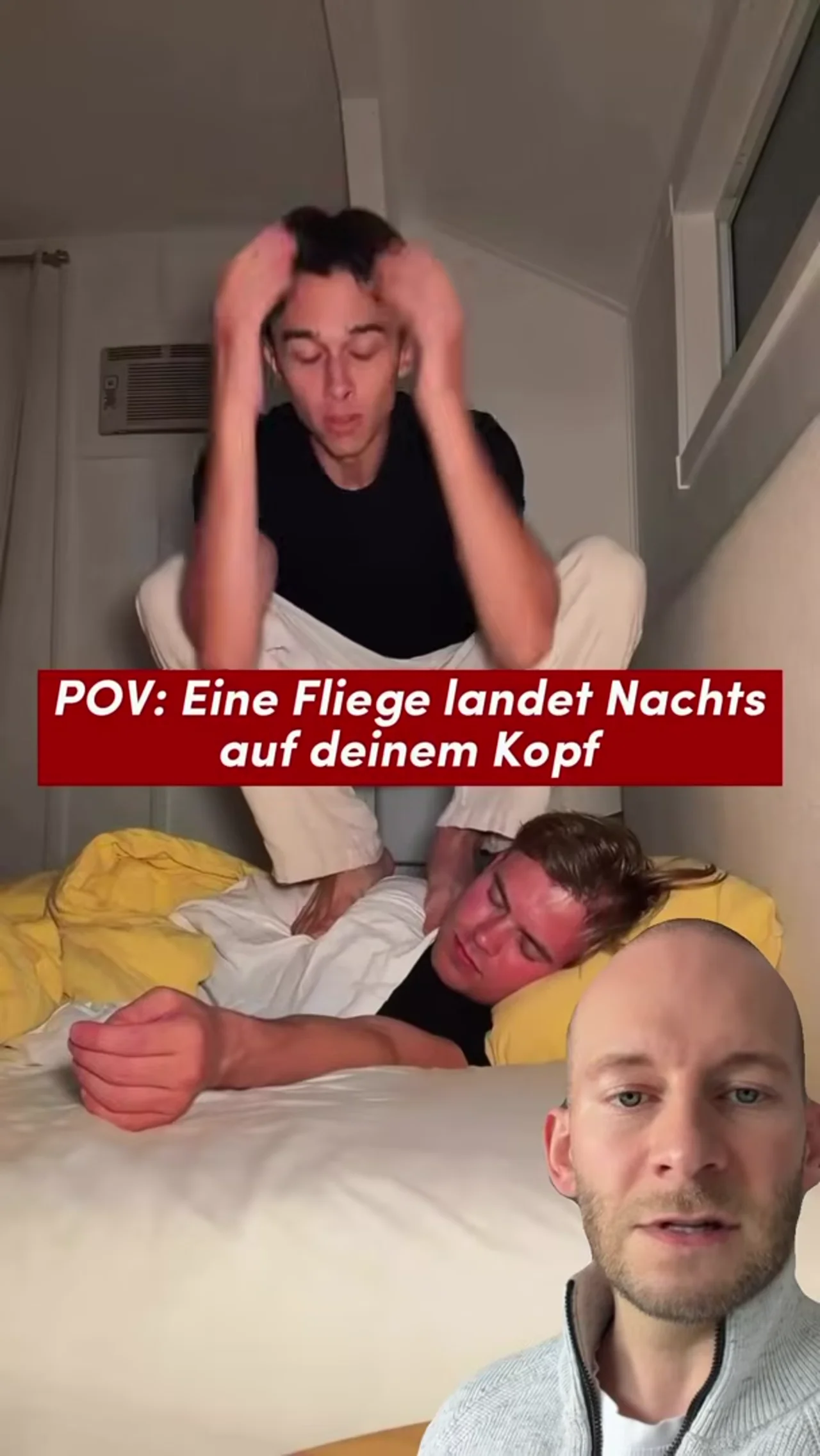 Frank die Fliege kloppt sich einen