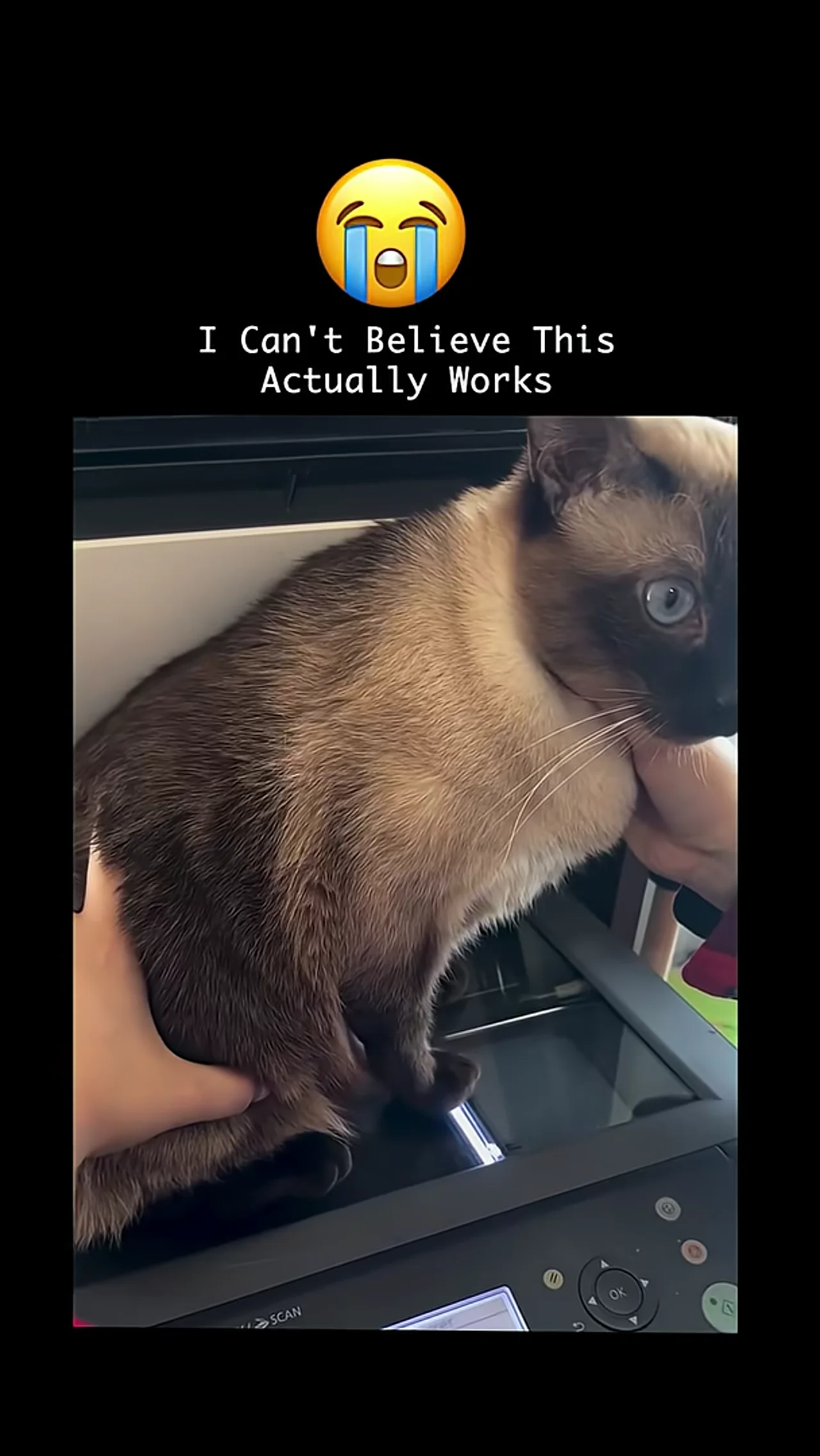 You've Been Using Your Printer WRONG