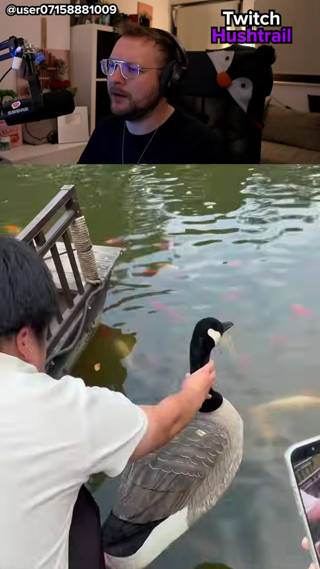 Stellt euch vor ihr seid eine der Enten.
#humor #reaktion #twitchde