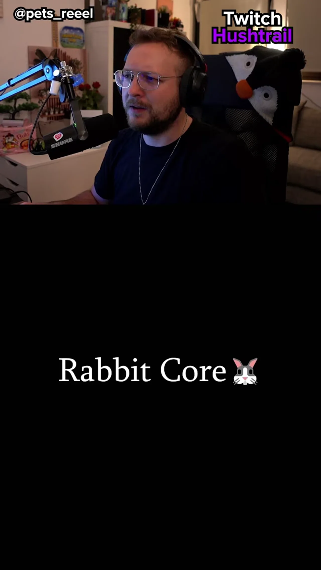 Süße kleine Hasen
#hase #rabbit #reaktion #streamer #tiere