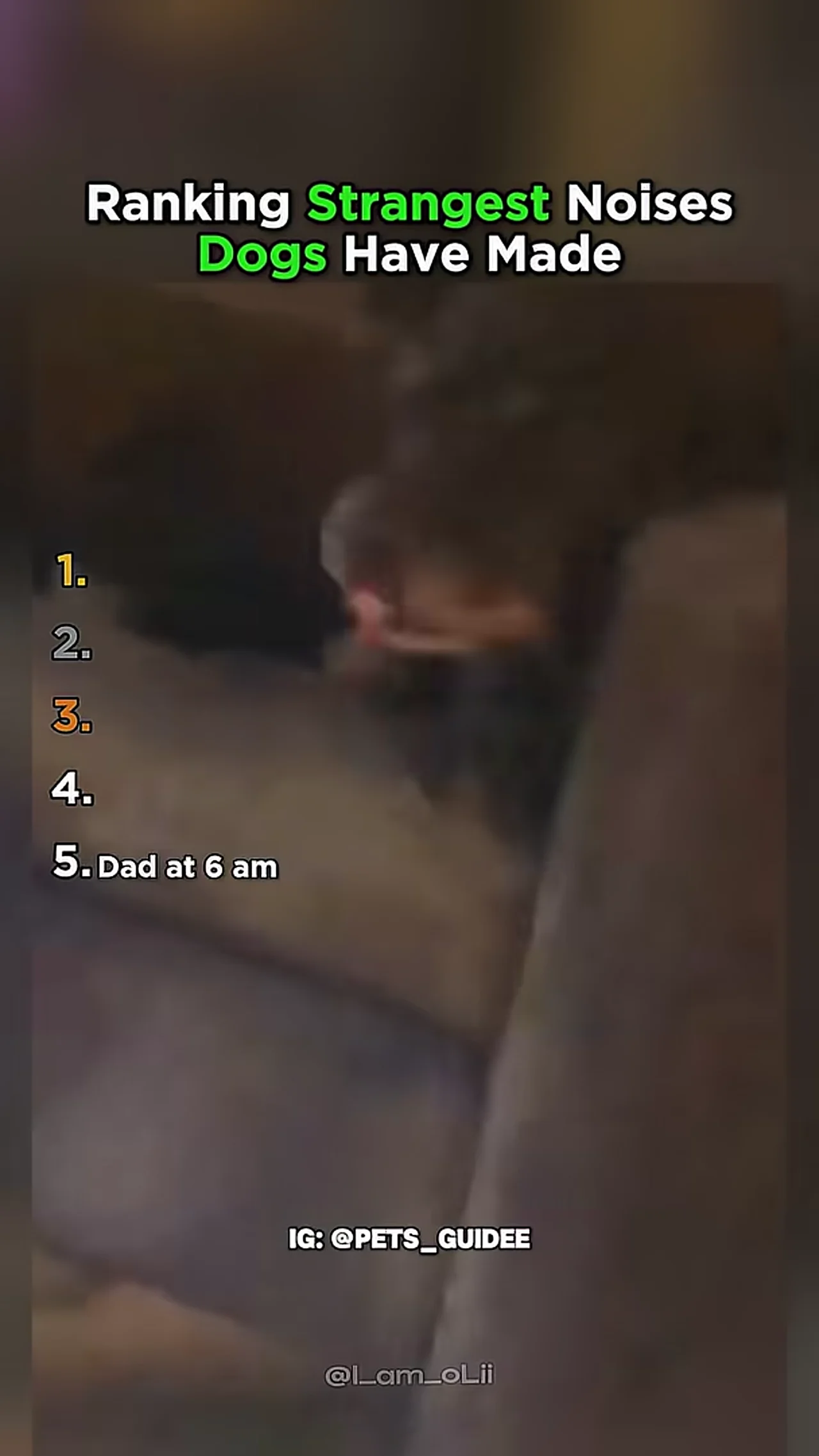 Ranking The Strangest Noises Dogs Have Made