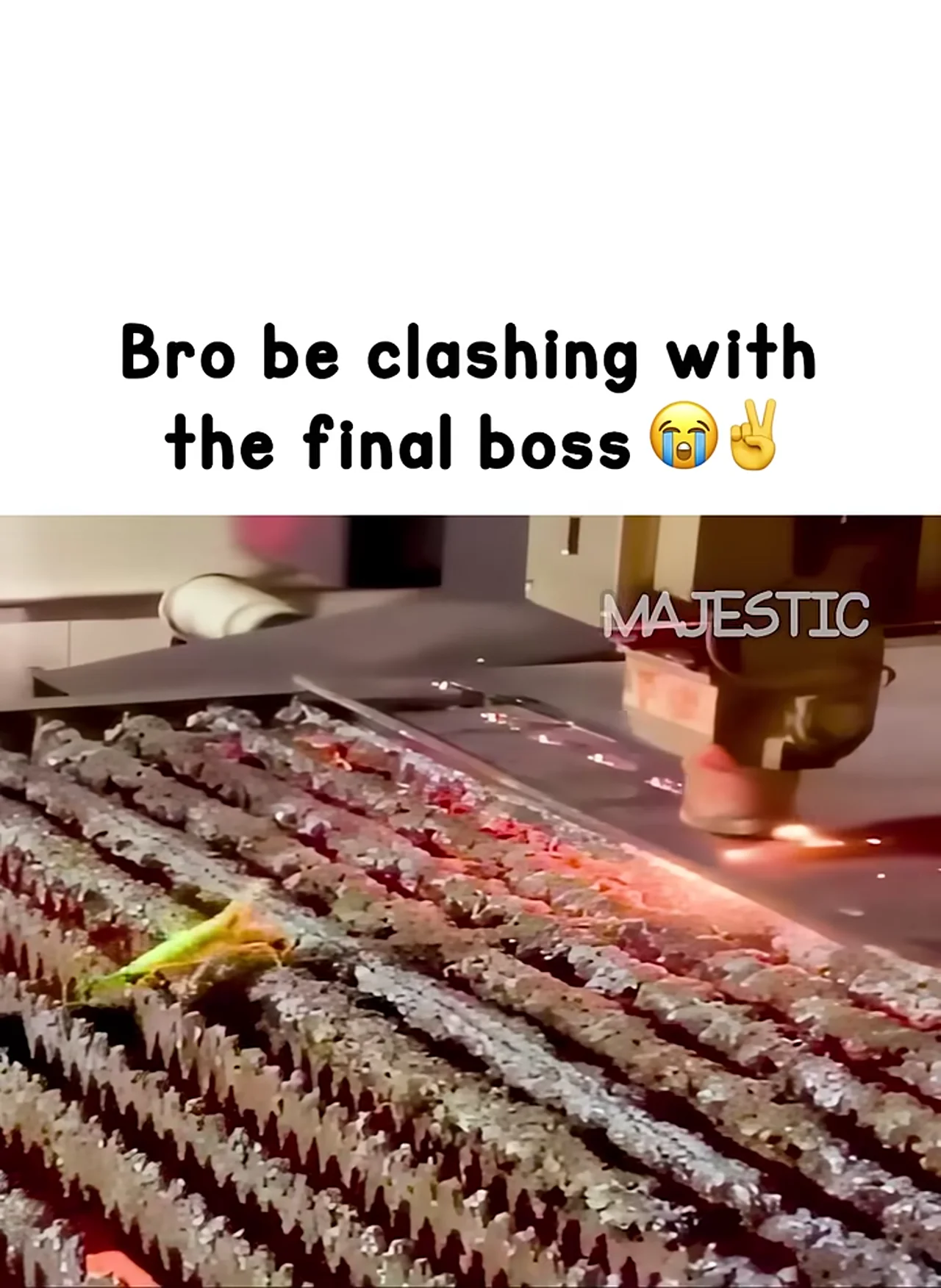 Holy insane reflexes 😭🙏🏻