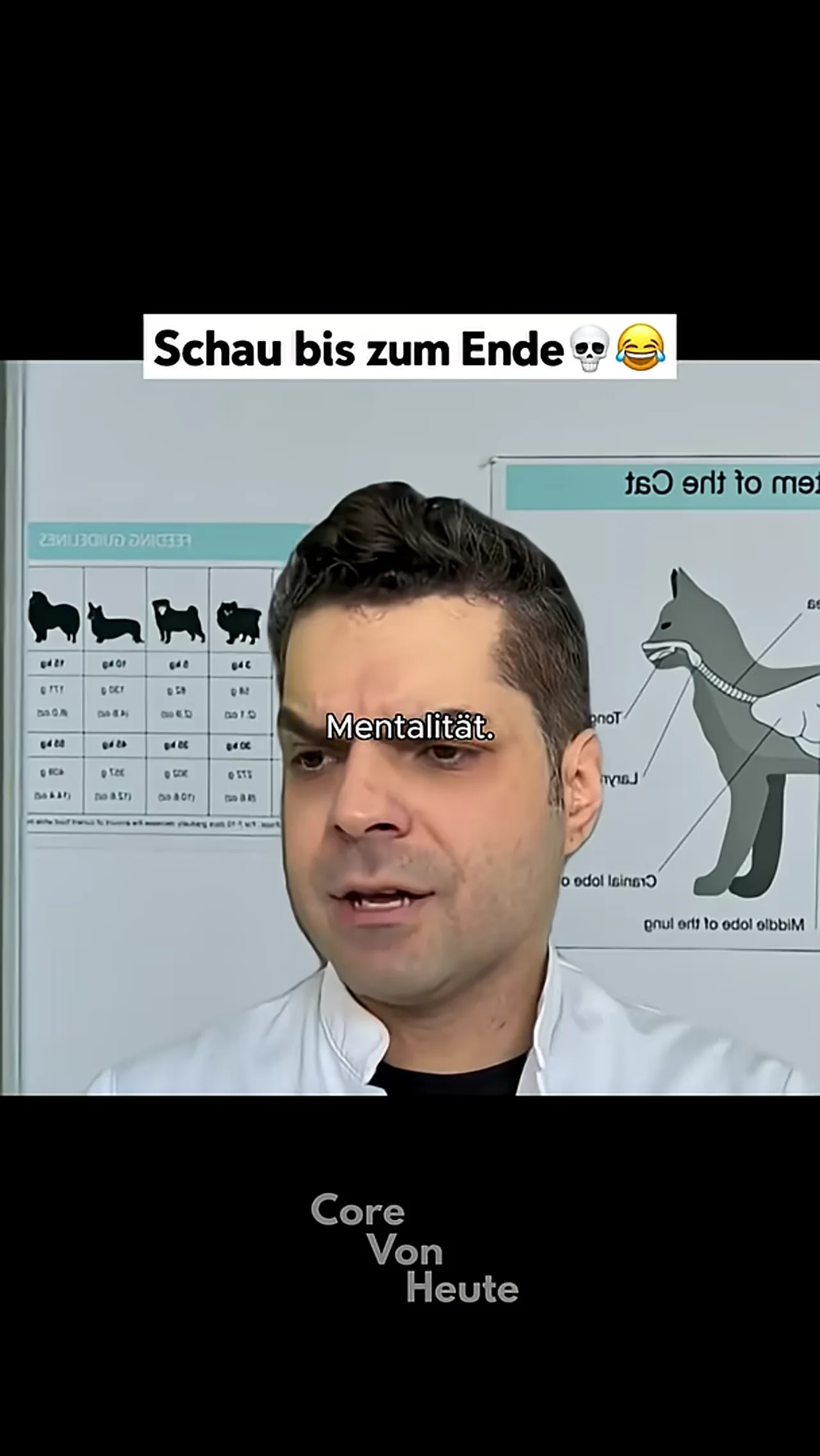 Schau bis zum Ende💀😂 #core #comedie #bestof #lustig