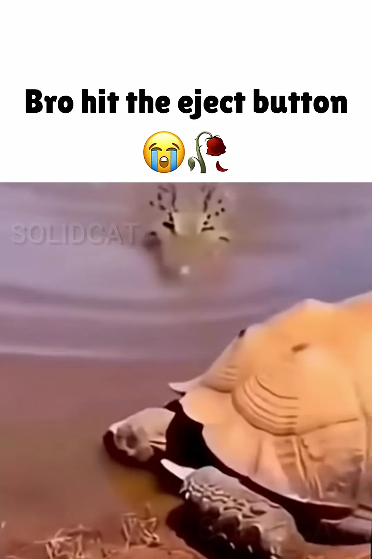 Bro hit the eject button