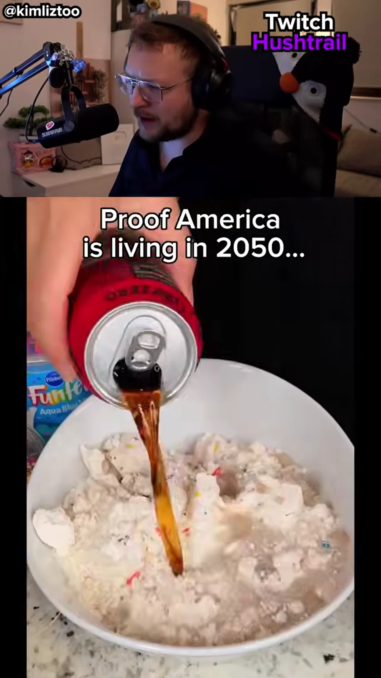 Amerika in 2050